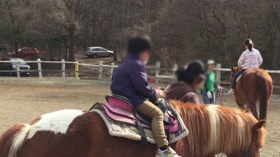 ホースセラピー乗馬体験